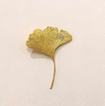 Rachel Murphy - Ginkgo Leaves